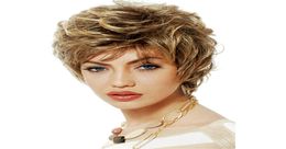 2020 Wig European and American Fashion Women039s High Temperature Silk Fluffy Small Curly Hair Wig Headgear Factory Direct4437842