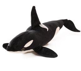 75cm 130cm Simulation Marine Shark animal Giant Killer Whale Plush Toy Lifelike sea Animal World Fish Stuffed Pillow Po tool Y24658055