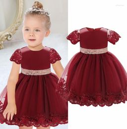 Girl Dresses Birthday Party Dress For 12M 1st Baby Vintage Floral Big Bow Tutu Gown Wedding Toddler Kids Pink Formal Gala Costume7617193