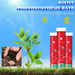 Household Gardening Organic Fertilizer Potted Succulent Organic Fertilizer Nutrient Slow Release for Foliage Plants Fruit Grow