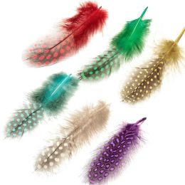 20Pcs Natural Colored Guinea Fowl Feathers Pheasant Plumes Jewelry Handicraft Accessories Dream Catcher Feather Decorative Decor