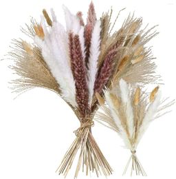 Decorative Flowers Phragmite Dried Natural Pampa Grass Bouquet DIY Artificial Flower Plant For Home Living Room Thanksgiving
