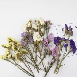 Decorative Flowers Real Dried Flower Dry Plants For Candle Epoxy Resin Pendant Necklace Jewellery Making Craft DIY Accessories