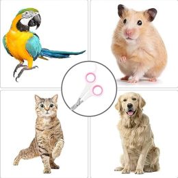 Pet Nail Claw Grooming Scissors Clippers for Dog Cat Gerbil Small Animals Newest Rabbit Home Portable Pet Products Accessories