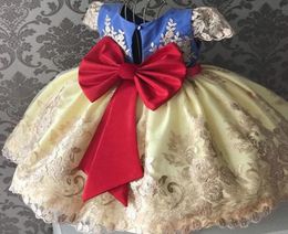 Lace Flower Girls Dress For Wedding Gown Birthday Party Tutu Bow Teenage Girl Kids Clothes 4 8 10 Years Children Formal Frocks1474597