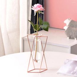 Vases Glass Vase With Metal Stand Hydroponic Plant Holder Iron Art Frame Perfect Gift Creative Desktop Decoration Nordic Flower