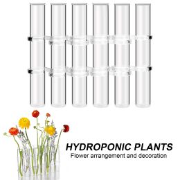 Planter Test Tube Terrarium Flower Vase Tabletop Glass holder Hydroponic Great Propagators for Cuttings
