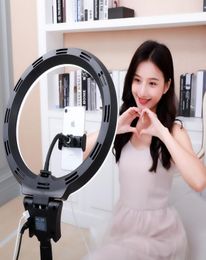 12 Inch LED Ring Light Floor Stand Ring Fill Light With USB Charging Smart Remote Control Live Beauty Light Stepless Dimming3544107