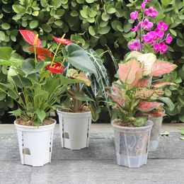 5pcs Round Planter Pot Orchid Nursery Container Clear Pots Root Control Plant 240325