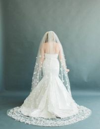 Fairy Pure 3D Floral Applique Wedding Veils Three Meters Long Veils One Layer Cathedral Length Cheap Bridal Veil9436930