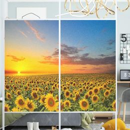 Window Stickers Film Privacy Sunflower Field-2 Frosted Glass Sticker UV Blocking Heat Control Coverings Tint For Homedecor