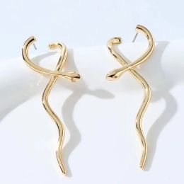 Gold Colour Hallowout Round Brass Wire Earring Snake Boots Square Cutout Earrings For Women Silver Colour Cute Girls Jewellery