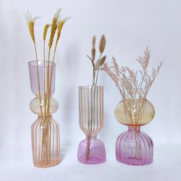 Vases 6Styles Transparent Double Colour Geometry Shape Flower Art Bottle Creative Nordic Glass Living Room Desktop Decoration