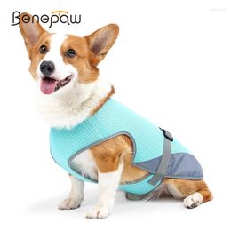 Dog Apparel Benepaw Cooling Vest Summer Breathable UV Protection Cool Pet Clothes Lightweight Puppy Jacket For Walking Training Camping