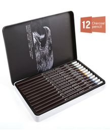 Superior 12Pcs Professional Hard Medium Soft Sketch Charcoal Pencils Drawing Pencils Set For School Standard Pencil Art Supplies8337671