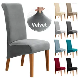 Chair Covers LYLYNA Velvet Large Dining Cover XL Size Slipcover For Long Back Kitchen Elastic Solid Colour Seat