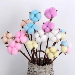 Decorative Flowers 5/10Pcs Real Dried Cotton Home Vase Decor For Living Room April Fools Funny Artificial Accessories