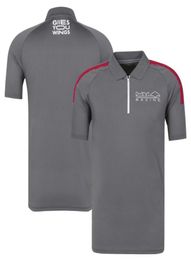 F1 POLO Shirt Men039s Short Sleeve Team Jersey Summer Racing Series Lapel TShirt3015450
