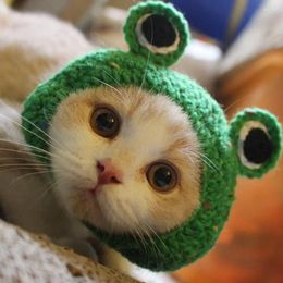 Dog Apparel Great Cat Hat Woolen Yarn Adorable Appearance Lightweight Lovely Frog Cap Pet Costume Headwear Delicate Texture