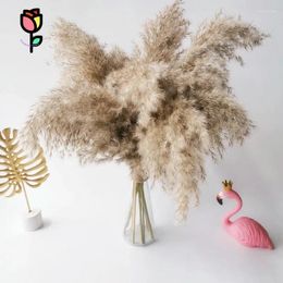 Decorative Flowers Natural Dried Flower Water Pampas Wedding Party Decoration Fluffy Phragmites Grass Pampa Bouquet Room Decor Reed Home