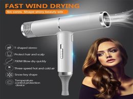 Hair Dryers 1000W Professional Infrared Negative Ionic Blow Cold Wind Salon Styler Tool Electric Drier Blower 2209264036119