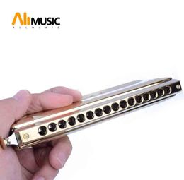 Swan Chromatic Harmonica Senior 16643 Serie Golden Harmonica C key Mouth harp Organ Musical Instrument7374936