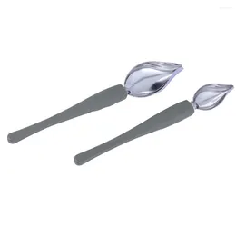 Dinnerware Sets 2 Piping Spoon Embellishment The Tools Saucier Stainless Steel Painting Pencil For Sauce Plate