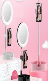 Foldable LED Mirror Makeup Desktop With Light Adjustable Bright Ring Selfie Lamp Live Po Pography Studio Mirrors5928490