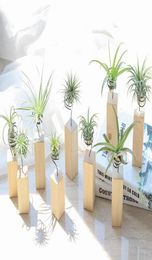 Garden Decorations Iron Air Plant Stand Container Tillandsia Holder Tabletop Pot Display Rack Vase with Wooden Base XB16419755