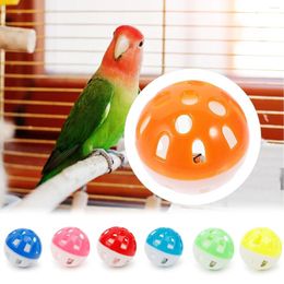 Other Bird Supplies 10Pcs Hollow Bell Ball Chew Toy Parrot Grinding Toys For Parakeet Cockatiel Random Colour