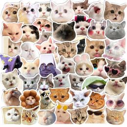 10/30/50Pcs Funny Cat Head Stickers For Suitcase Skateboard Laptop Luggage Phone Car Styling DIY Decal Pegatinas