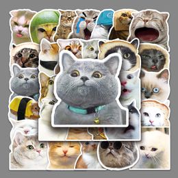 10/30/50pcs Cat Funny Graffiti Sticker Scrapbook Animal Creative Children's Diy Phone Laptop Case Water Cup Decal Decor Sticker