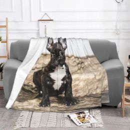 French Bulldog Blanket for Sofa Bed Coral Fleece Cute Animal Puppy Dog Lightweight Throw Blankets Office Nap Shawl Bedspreads