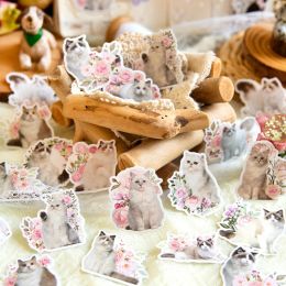 Mr. Paper Cute Cat Series Sticker Flower Decorative Phone Case Handbook Material Kawaii Stickers Stationery 45pcs/pack