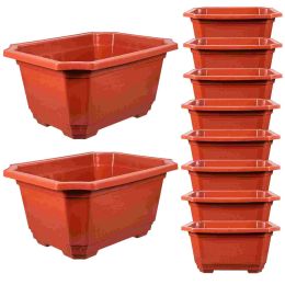 10 Pcs Bonsai Planter Pot Flower Box Planter Plastic Rectangular Flower Pot Flower Planting Holder Flower Pots Indoor Plants