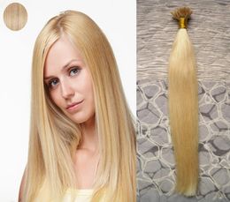 100 Real Remy Human U Tip Hair Extensions Pure Color Extension Blonde Brazilian Hair 100g Per Package Pre bonded Hair Extensions7319719