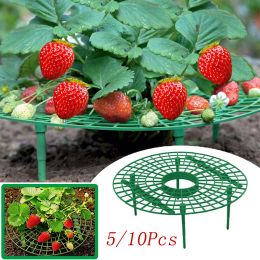 Supports 5/10Pcs Strawberry Planting Rack Plant Stand Protection Vegetable Shelf for Garden Greenhouse Balcony Accessories Supplies