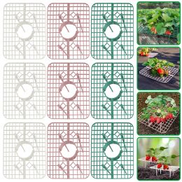 Supports 5/10/20Pcs Square Strawberry Stand Frame Holder Climbing Vine Pillar Planting Rack Plant Protection Holder Gardening Tools