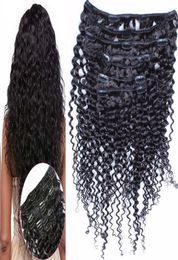 Brazilian Kinky Curly Clip In Hair Extensions 8 PiecesSet 100 Virgin Human Hair Natural Colour 100gSet Clip In Human Hair Extens2148711