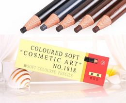 12pc Eyebrow Pencil Coloured Soft Cosmetic Art Permanent Makeup Waterproof Tattoo6355601