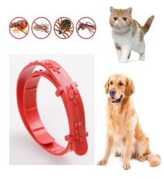 Pet Dog Cat Fleakilling Collar Dog Antiflea Circle Cat Flea Removal Collar Against Anti Tick Quick Kill Remove Protect Rubber119863273592