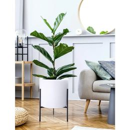 Plants Pot Cylinder Planter with Heavy Duty Stand Large 14 Inch 21 Height Modern White 240325
