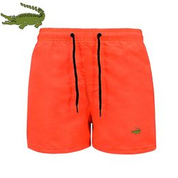 Mens Fitness Beach Summer Gym Exercise Clothing Men and Women Breathable Sportswear Loose and Casual Jogging Shorts 240409