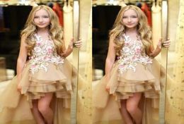 Champagne High Low Girls Pageant Dresses Sheer Neck Lace Handmade Appliques Flower Girls Dresses For Weddings Tiered Tulle Kids Pa1833248