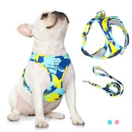 Dog Cat Harness Adjustable Vest Walking Lead Leash For Puppy Dogs Collar Polyester Mesh Harness For Small Medium Dog Cat Pet 240326