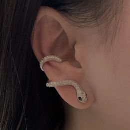 Spiritual Snake Shaped Earrings For Women and Men Ear Cuff Vintage Rock Punk Cartilage Style Piercing Jewelry Charm Party Gift