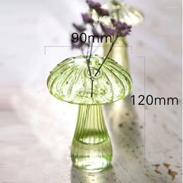 Vases Creative Glass Mushroom Vase Bottle Transparent Colored Aquatic Home Decoration Flower Arranger ZD969
