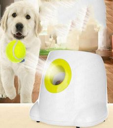 Cheapest Dog pet toys Tennis Launcher Automatic throwing machine pet Ball throw device 369m Section emission with 3 balls5160312