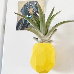 Vases 3M Glue Pineapple Air Plant Pot Holder Planter Container Display With Indoor Wall Home Decor