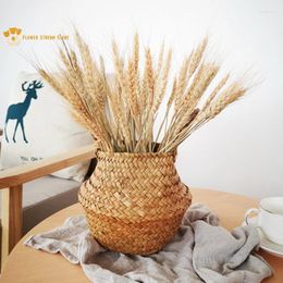 Decorative Flowers Dried Flower Wheat Ears Natural Stalks Grass Barley Bouquet Artificial DIY Craft Home Kitchen Decor Wedding Decoration